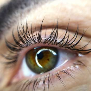 Фото с портфолио Валентина Землянская 