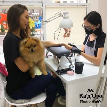 P.N. Кадоро, Київ Фото - 5