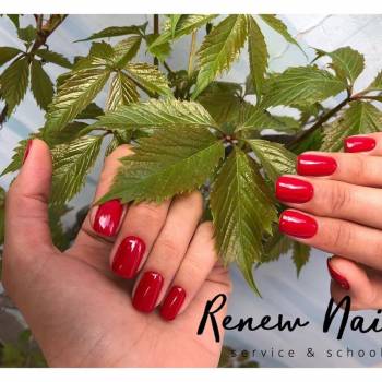 Renew Nails, Київ Фото - 6