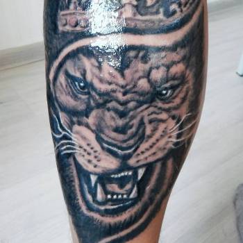 Олександр Марков, Харків Фото - 2