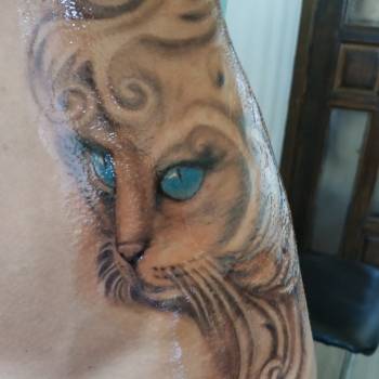 Олександр Марков, Харків Фото - 22