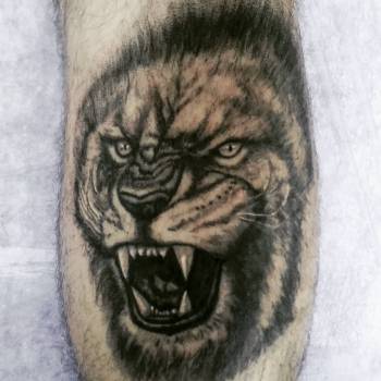 Олександр Марков, Харків Фото - 19