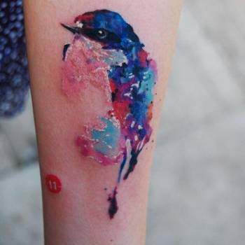 Фото с портфолио Елизавета Краус 