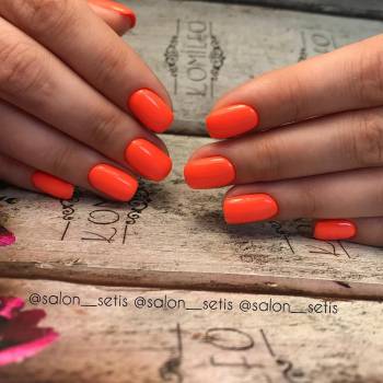 Setis, Київ Фото - 5