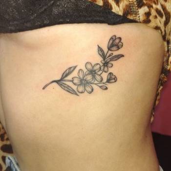 TST, Киев Фото - 61