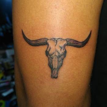 бык, буйвол