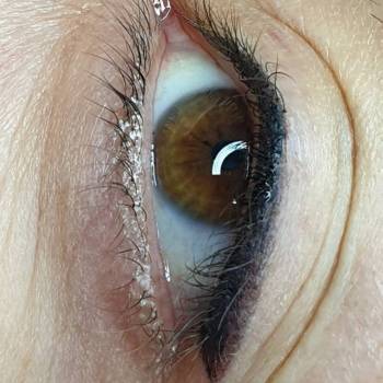 Елена Брек, Київ Фото - 10