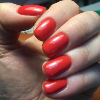 Фото с портфолио Lady