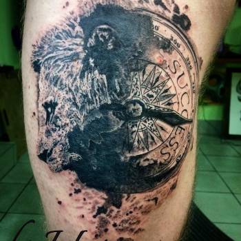 Фото с портфолио Джулио 