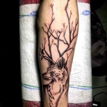 Фото с портфолио Джулио 