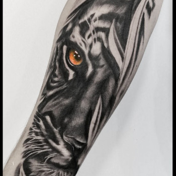 Тату Тату Тигр. Тату на руке ., фото - Тату салон HouseInk Tattoo Studio