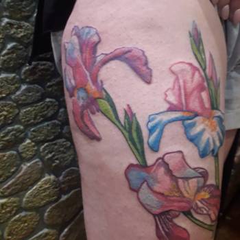 Фото с портфолио Велес