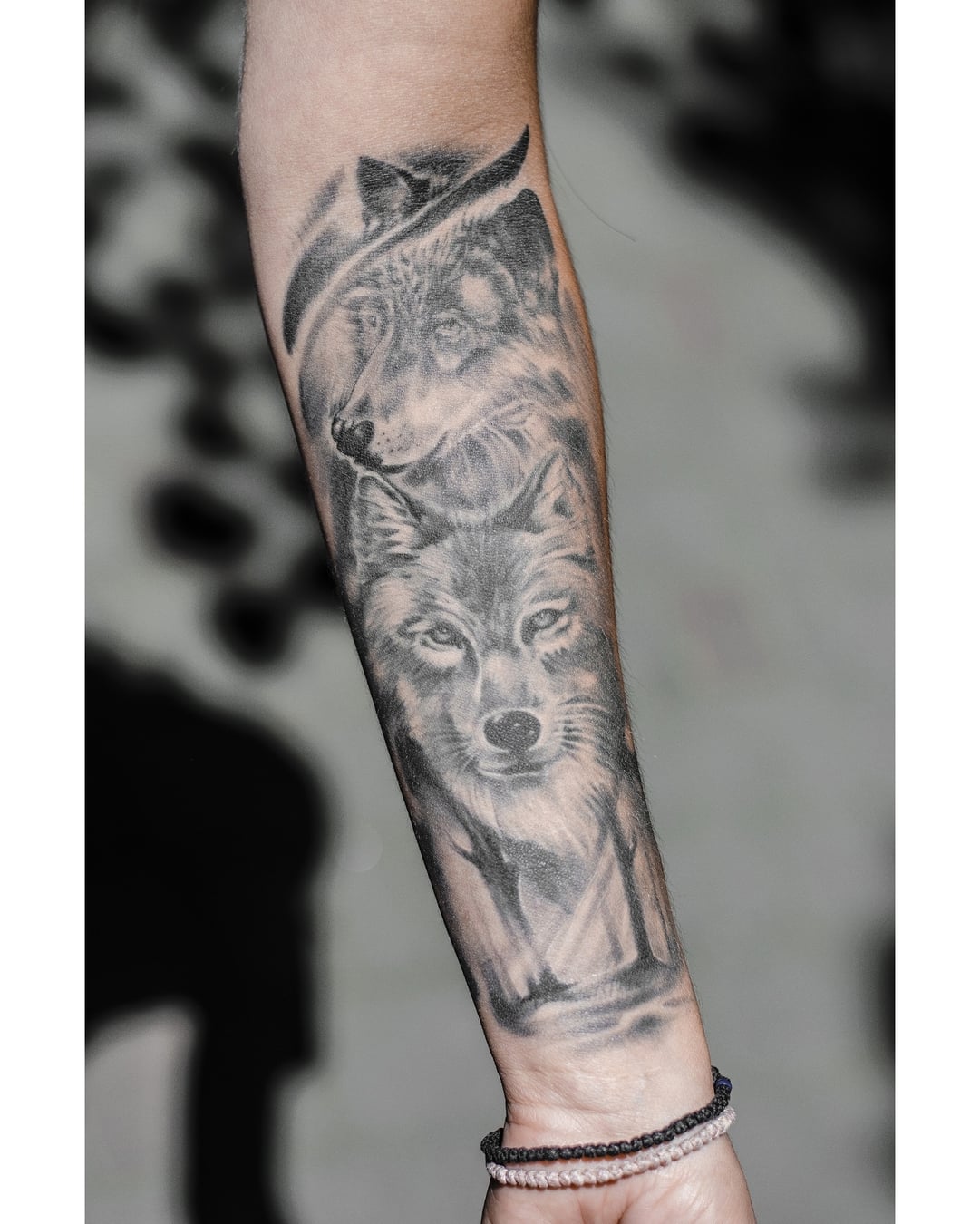 Мужские волк на предплечье, фото - Тату салон Teta Tattoo