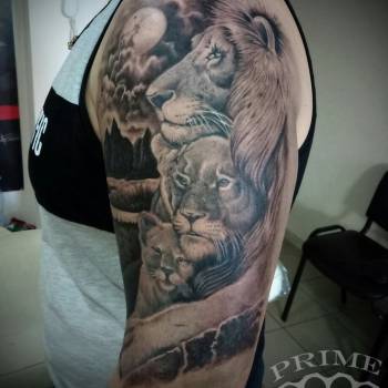 Александр Пономаренко, Белая Церковь Фото - 13