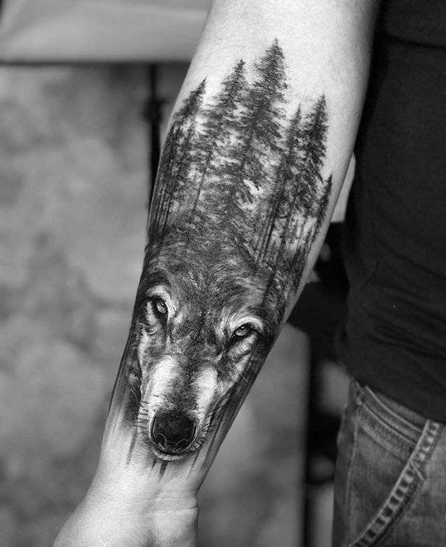 Мужские волк на предплечье, фото - Тату салон Tattoo Black Cat