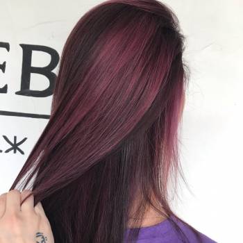 Zebra, Павлоград Фото - 5