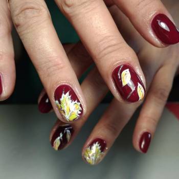 Zefir, Павлоград Фото - 5