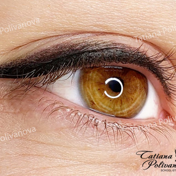 Перманентный макияж
                    Студия татуажа Школа-студия Татьяны Поливановой Одесса