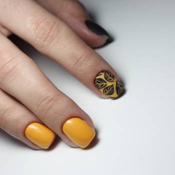 Shiny Nails, Чернігів Фото - 6