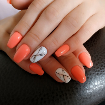 Фото с портфолио Надежда 