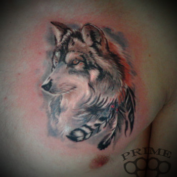 Тату волк на груди black&grey, фото - Тату мастер Александр Пономаренко