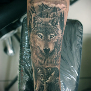 Художественная татуировка
                    Тату мастер Александр Белая Церковь