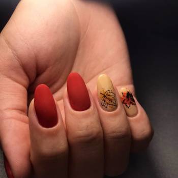 Picasso, Бердянск Фото - 6