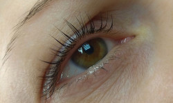 Ламинирование + ботокс ресниц Майстер перманентного макіяжу Ирина Харків