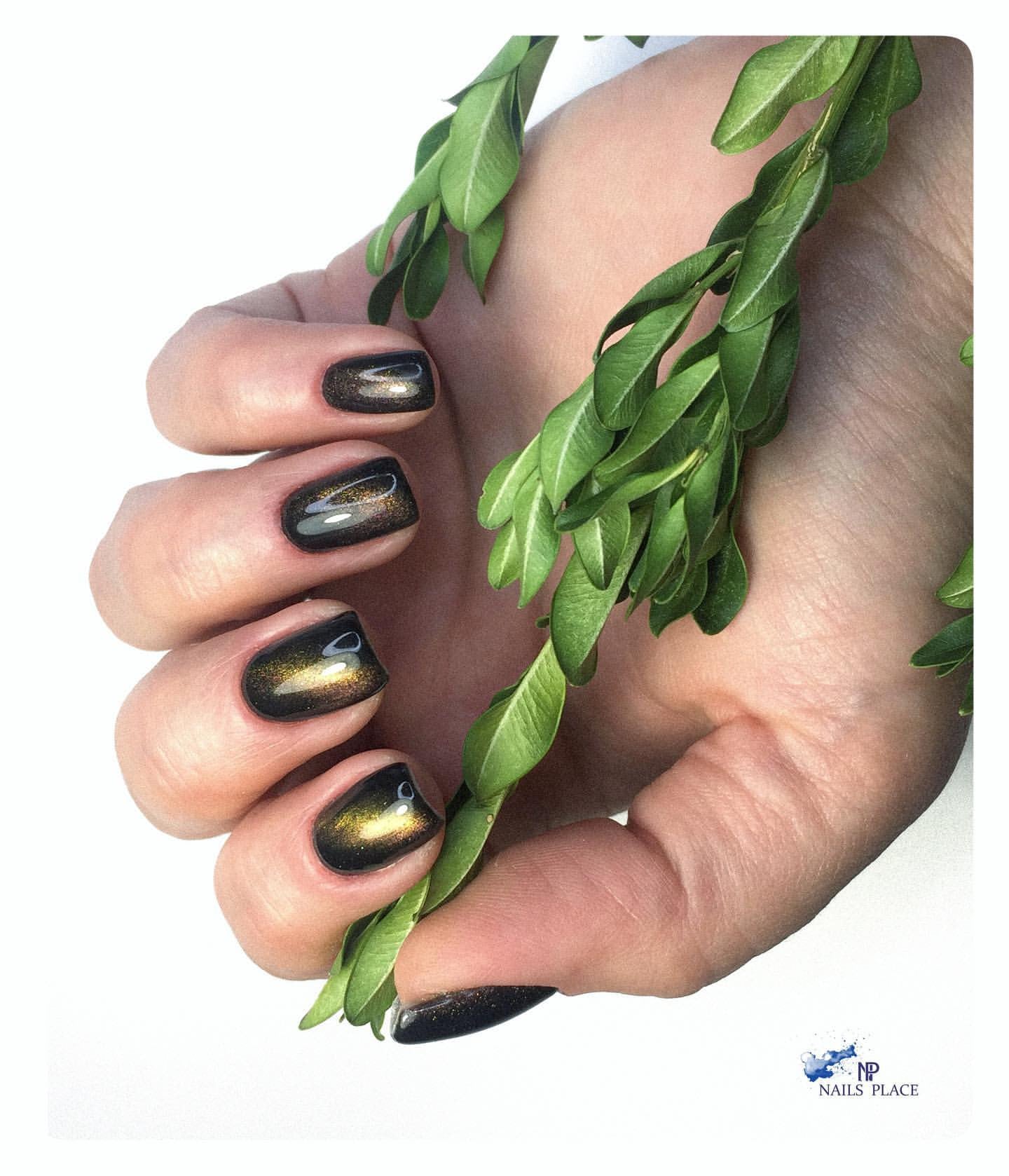 Черный маникюр кошачий глаз с золотом, фото - Ногтевая студия Nails Place