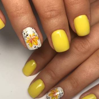 Фото с портфолио Fortuna