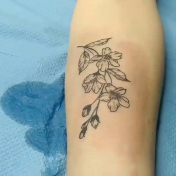 Татуювання
                    Мастер перманентного макияжа Марина Николаев