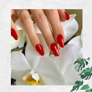 Malibu, Ірпінь Фото - 5