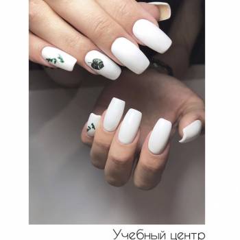 Фото с портфолио VERONICA+