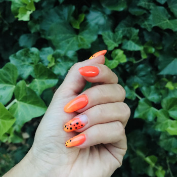 Фото с портфолио Мария Маринкова 