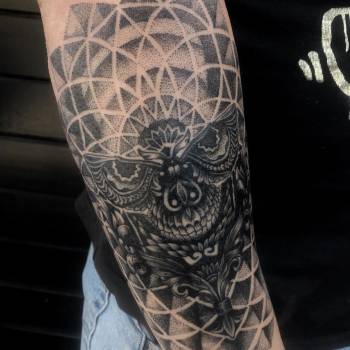 Фото с портфолио Алена Ложкина 