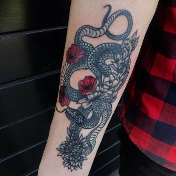 Фото с портфолио Алена Ложкина 