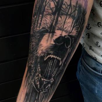 Фото с портфолио Алена Ложкина 