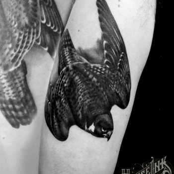 Тату блэкворк сокол, фото - Тату салон HouseInk Tattoo Studio