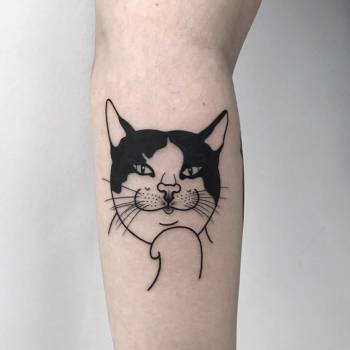 кошка