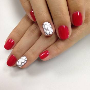 Gradient, Вишнёвое Фото - 5