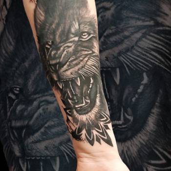 Михаил Дрозденко , Харьков Фото - 5