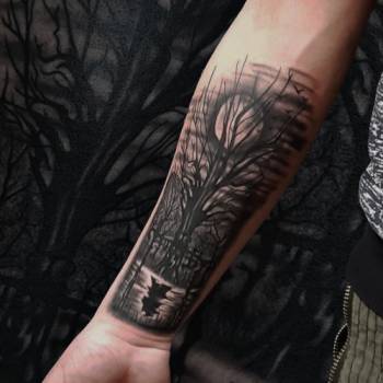 Михаил Дрозденко , Харьков Фото - 6