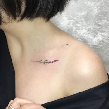 Михаил Дрозденко , Харьков Фото - 9