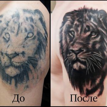 Михаил Дрозденко , Харьков Фото - 22