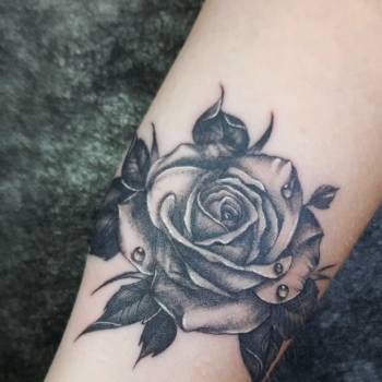 Михаил Дрозденко , Харьков Фото - 23