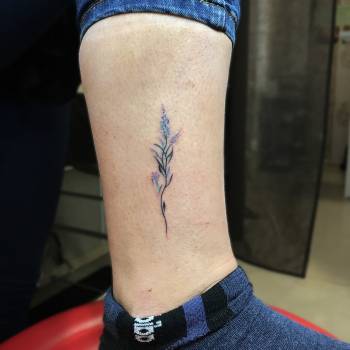 Михаил Дрозденко , Харьков Фото - 37