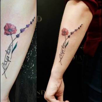 Михаил Дрозденко , Харьков Фото - 38