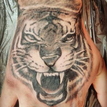 Фото с портфолио Юра Кононюк 