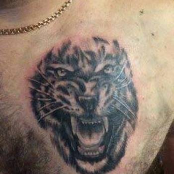 Фото с портфолио Юра Кононюк 