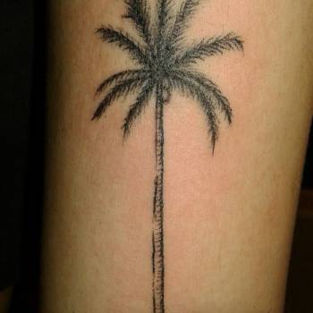 Фото с портфолио Юра Кононюк 